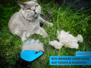3in1 Fellpflege-Handschuh für Katzen I inkl. Geschenkkarte, Magnet + Kamm - Löwenkönig