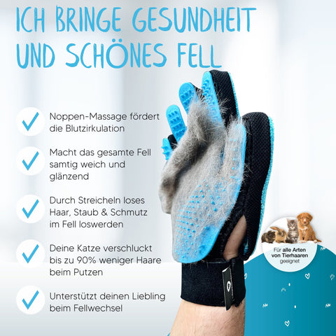 3in1 Fellpflege-Handschuh für Katzen I inkl. Geschenkkarte, Magnet + Kamm - Löwenkönig